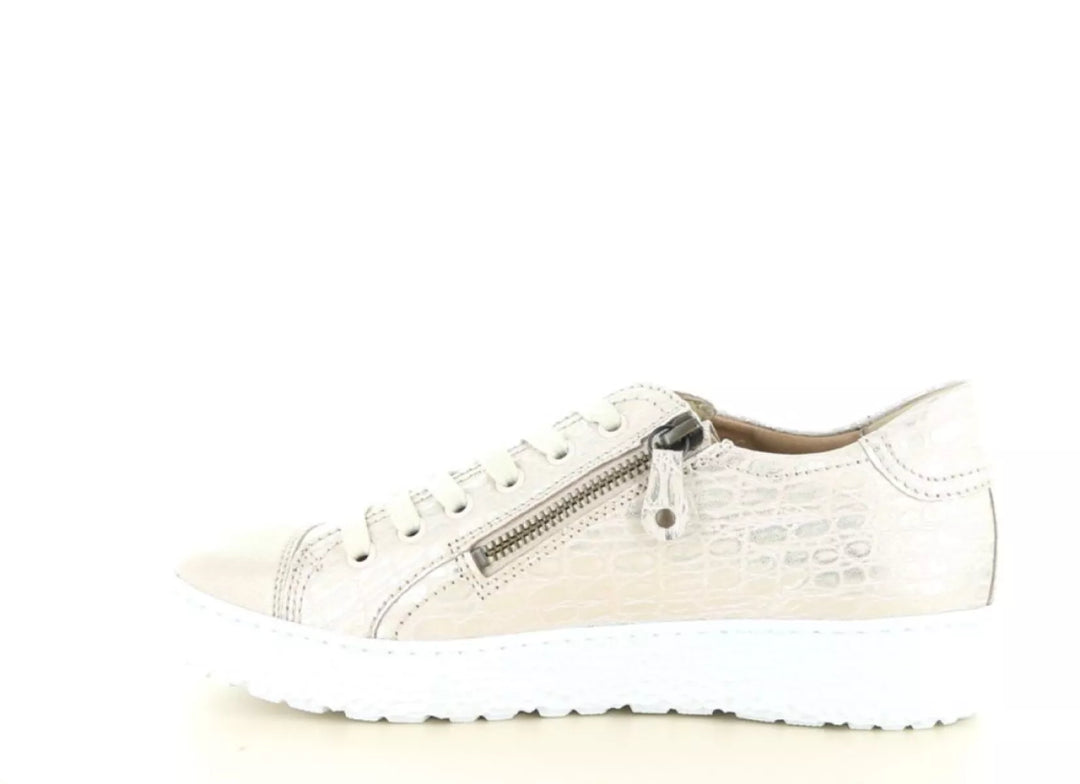 Hartjes Hartjes 162.1430 wijdte H