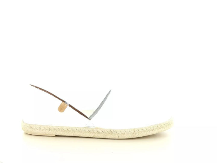 Verbenas Verbenas Carmen 247.10.066