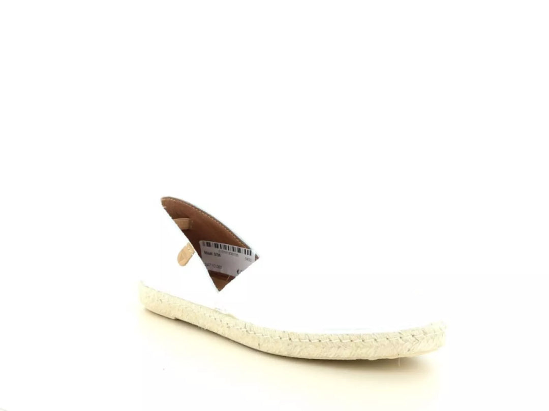 Verbenas Verbenas Carmen 247.10.066