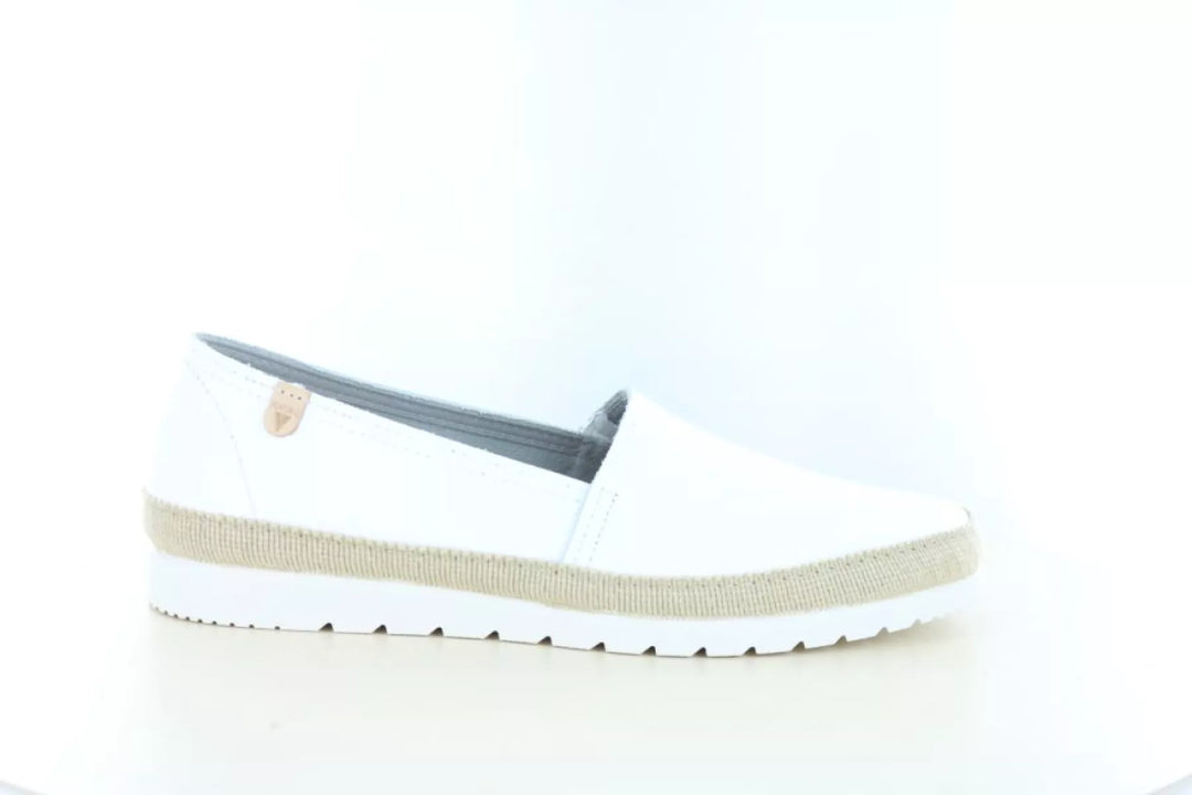 Verbenas Verbenas Noa