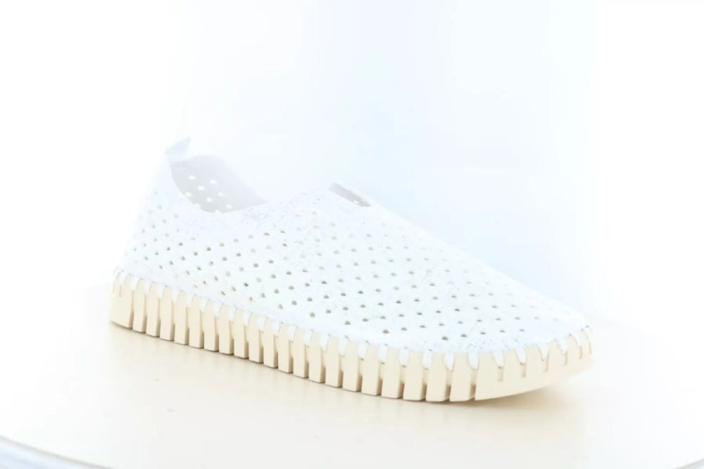 Ilse Jacobsen Ilse Jacobsen Tulip 3223