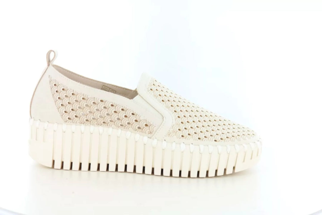 Ilse Jacobsen Ilse Jacobsen Tulip 4078