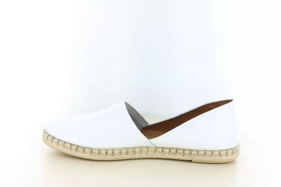 Verbenas Verbenas Carmen