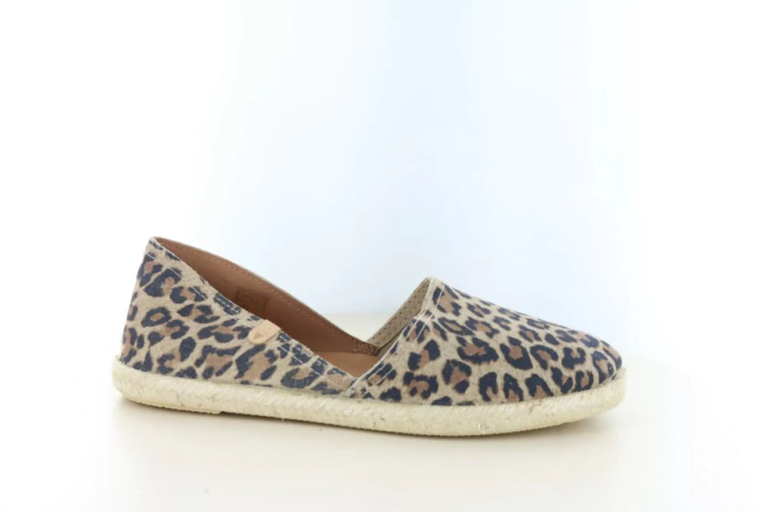 Verbenas Verbenas Carmen