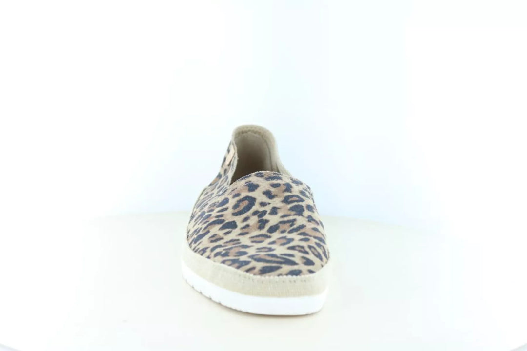 Verbenas Verbenas Noa