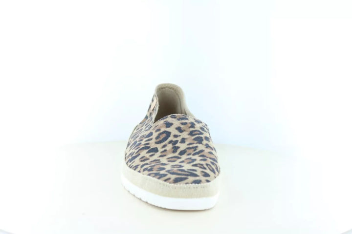 Verbenas Verbenas Noa