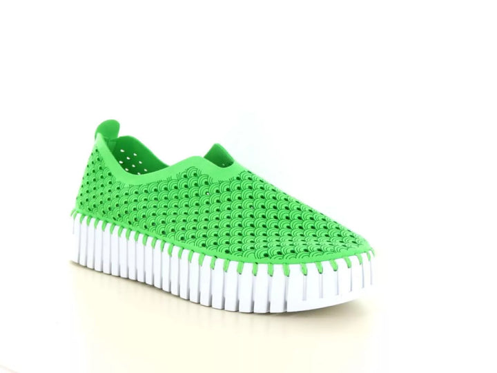 Ilse Jacobsen Ilse Jacobsen Tulip 3373