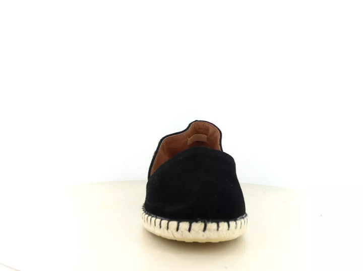 Verbenas Verbenas Carmen