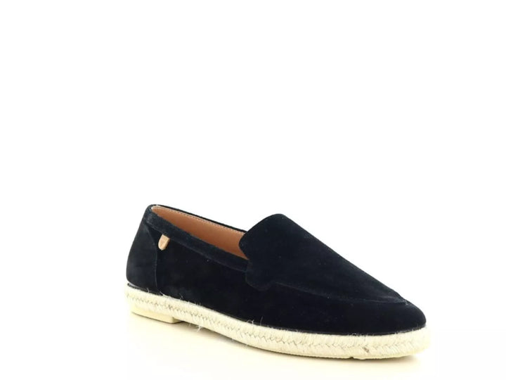 Verbenas Verbenas Karina