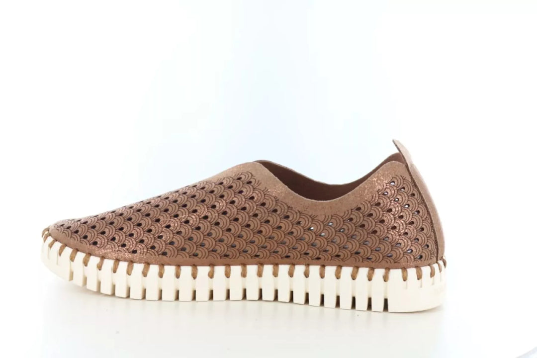 Ilse Jacobsen Ilse Jacobsen Tulip 3223