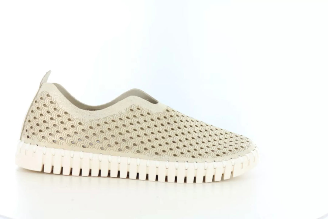 Ilse Jacobsen Ilse Jacobsen Tulip 3223