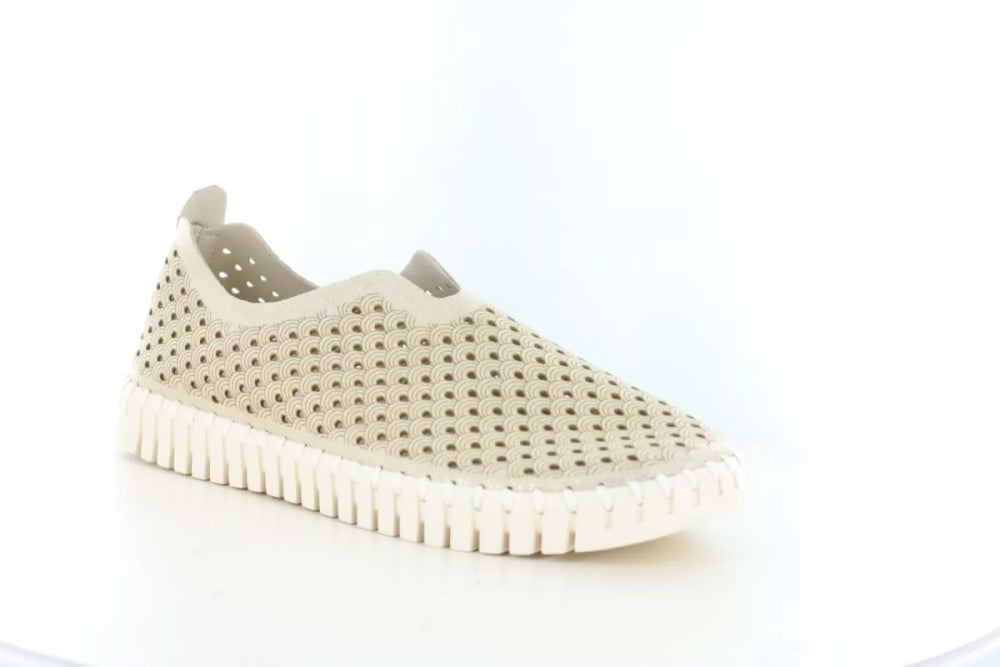 Ilse Jacobsen Ilse Jacobsen Tulip 3223