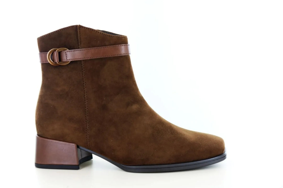 Gabor 8067.02 dames enkellaars van bruin suède in kleur 004 cocoa, met carré neus, ritssluiting, blokhak en wijdte G voor normale voeten.