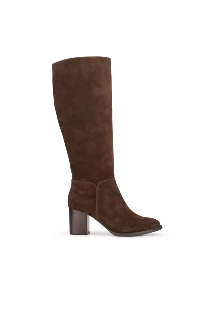 PS Poelman PS Poelman CLSHN2259