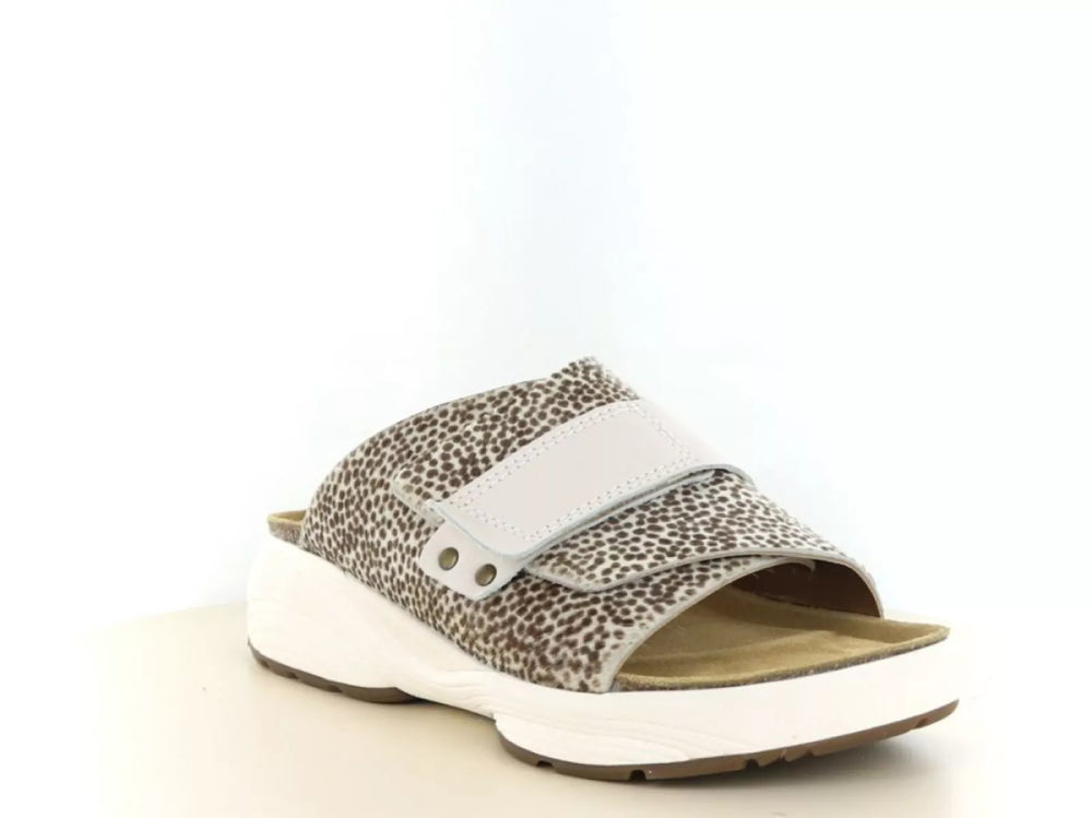 Xsensible Xsensible 30800.5 wijdte H