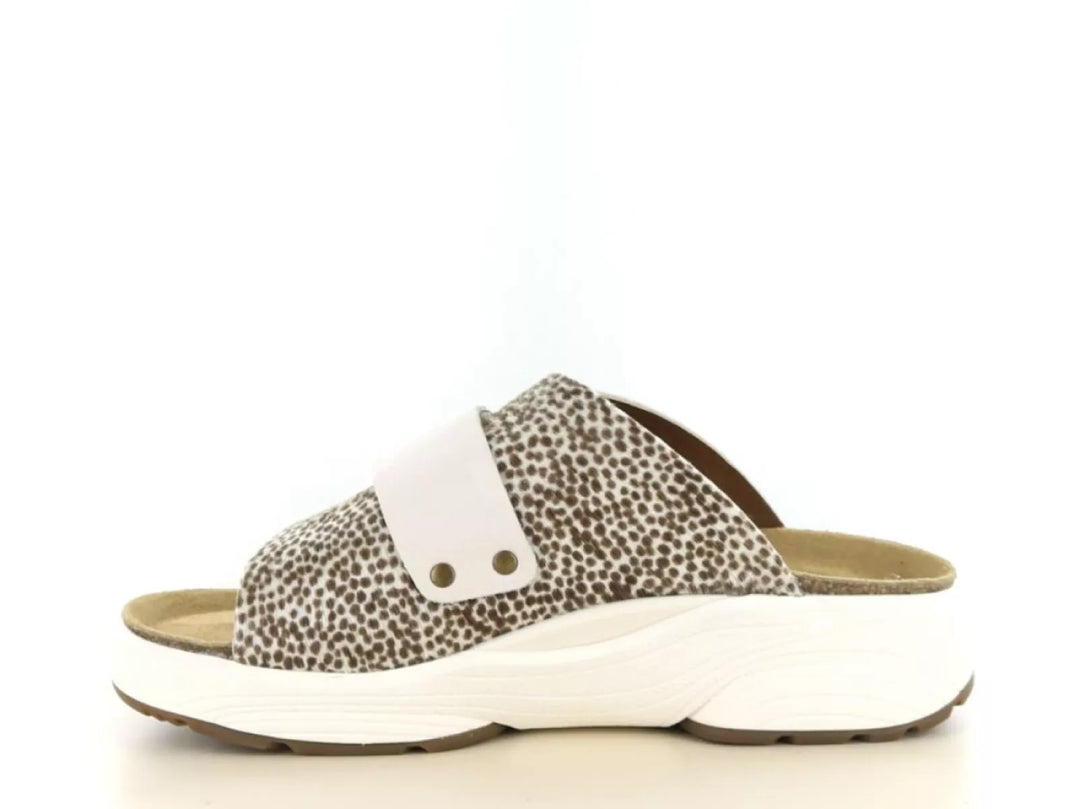 Xsensible Xsensible 30800.5 wijdte H