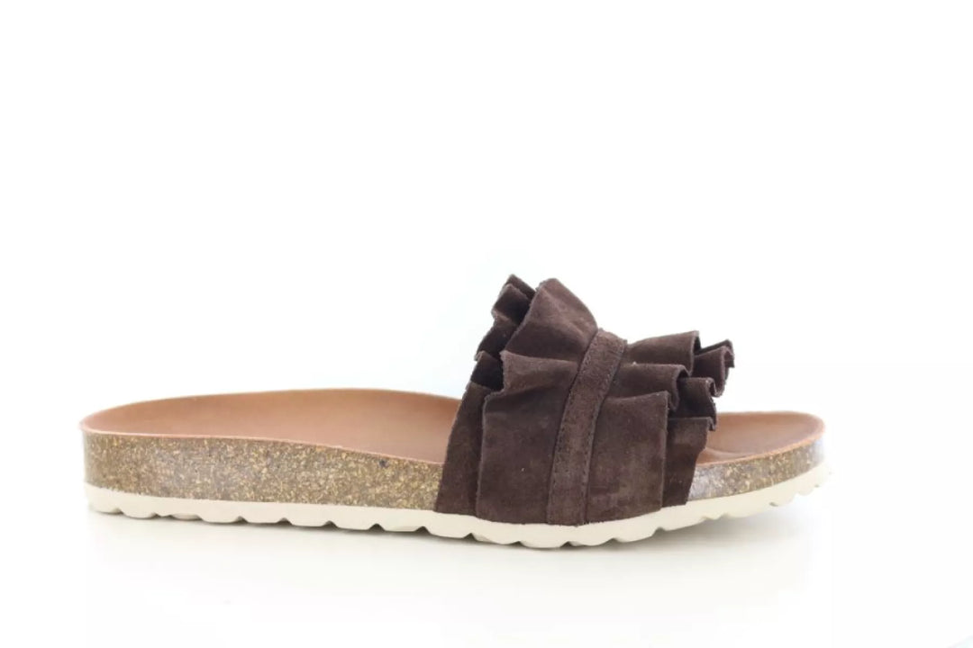 Verbenas Verbenas Rocio