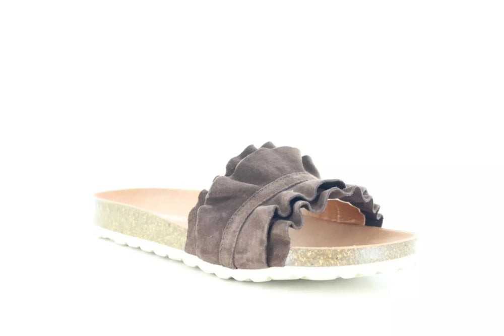 Verbenas Verbenas Rocio