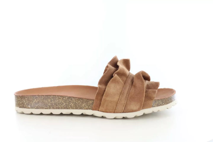 Verbenas Verbenas Rocio