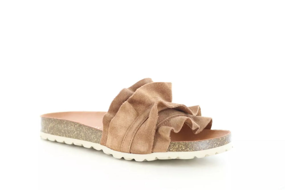 Verbenas Verbenas Rocio