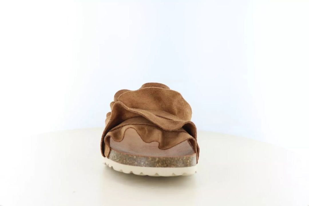 Verbenas Verbenas Rocio