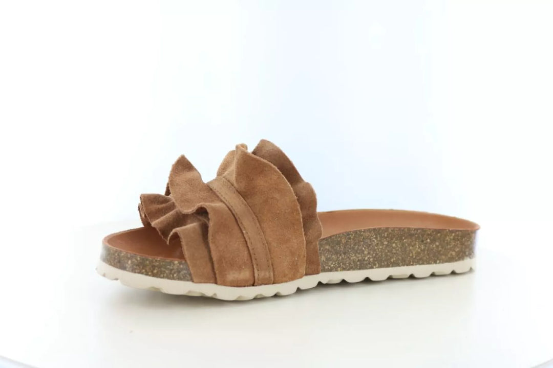 Verbenas Verbenas Rocio