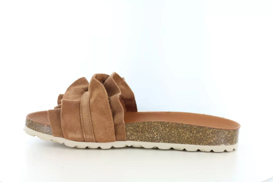 Verbenas Verbenas Rocio