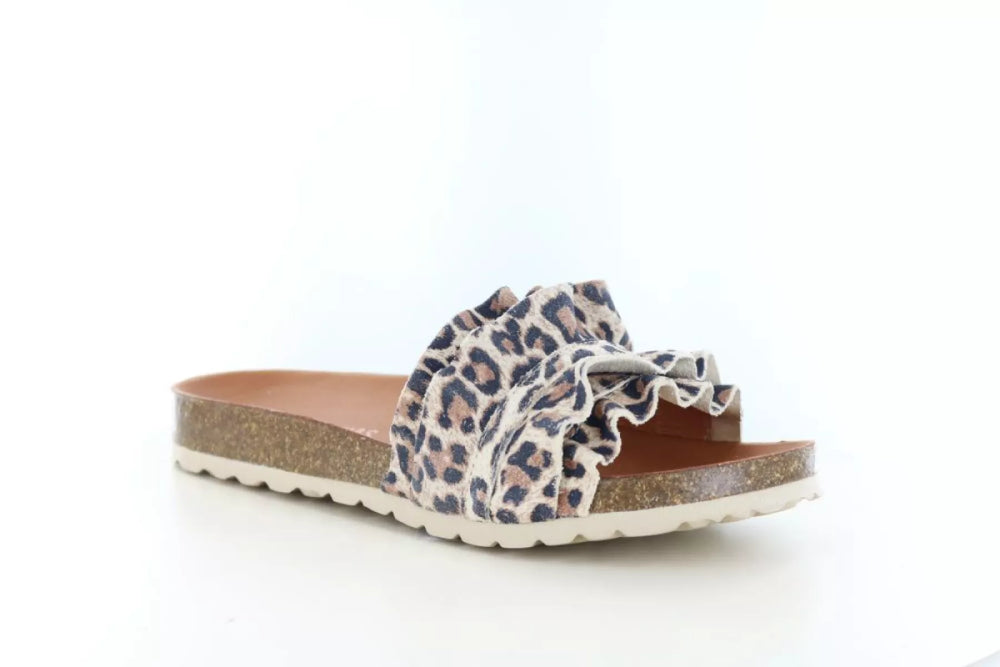 Verbenas Verbenas Rocio