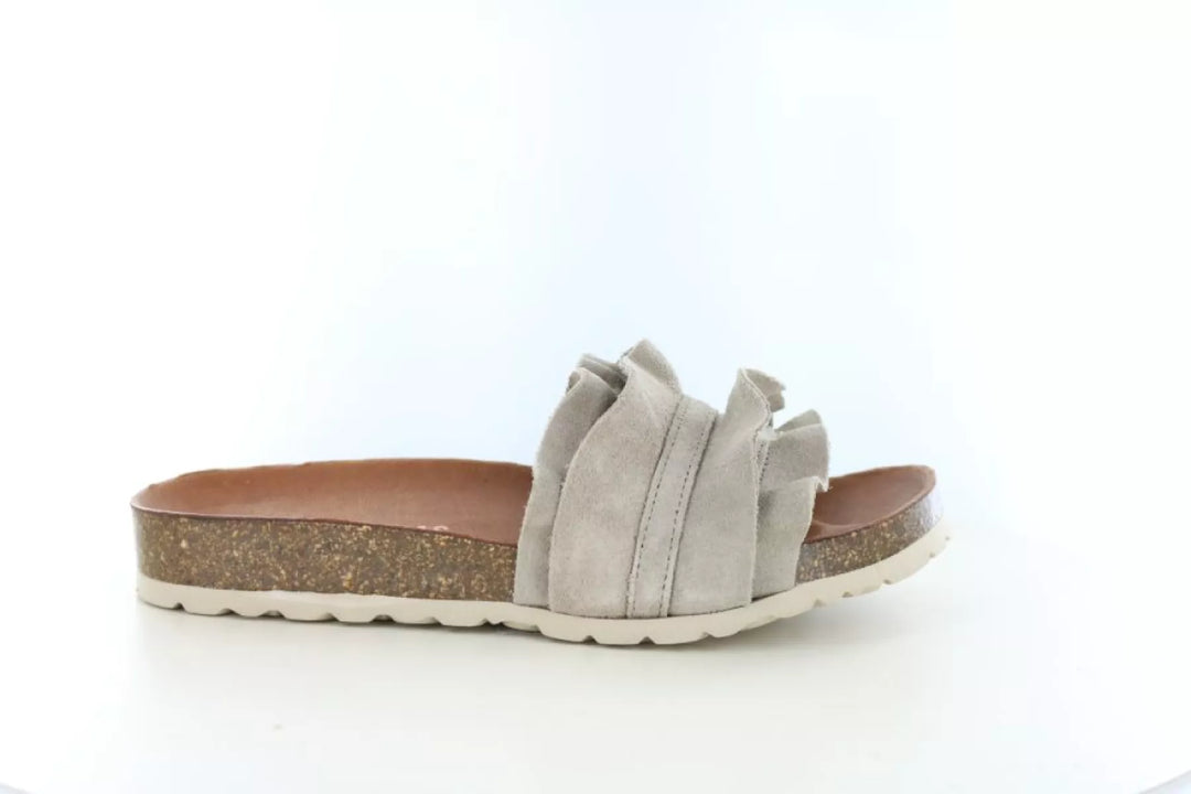 Verbenas Verbenas Rocio