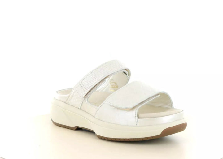 Xsensible Xsensible 30709.5 wijdte H