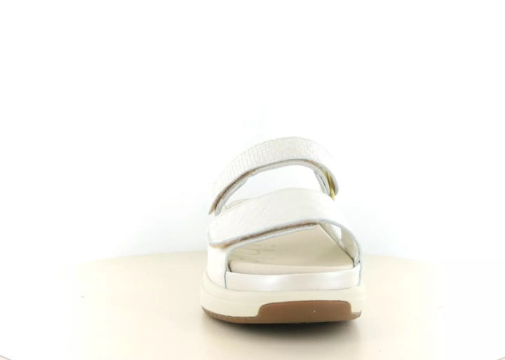 Xsensible Xsensible 30709.5 wijdte H