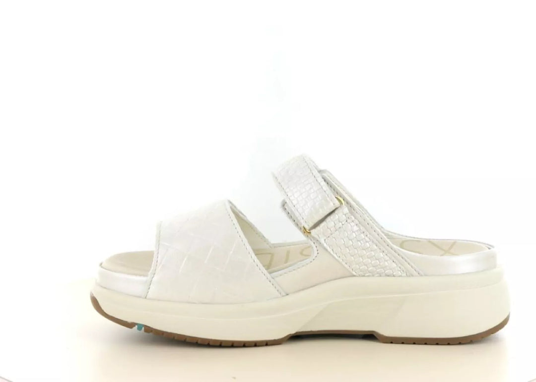 Xsensible Xsensible 30709.5 wijdte H