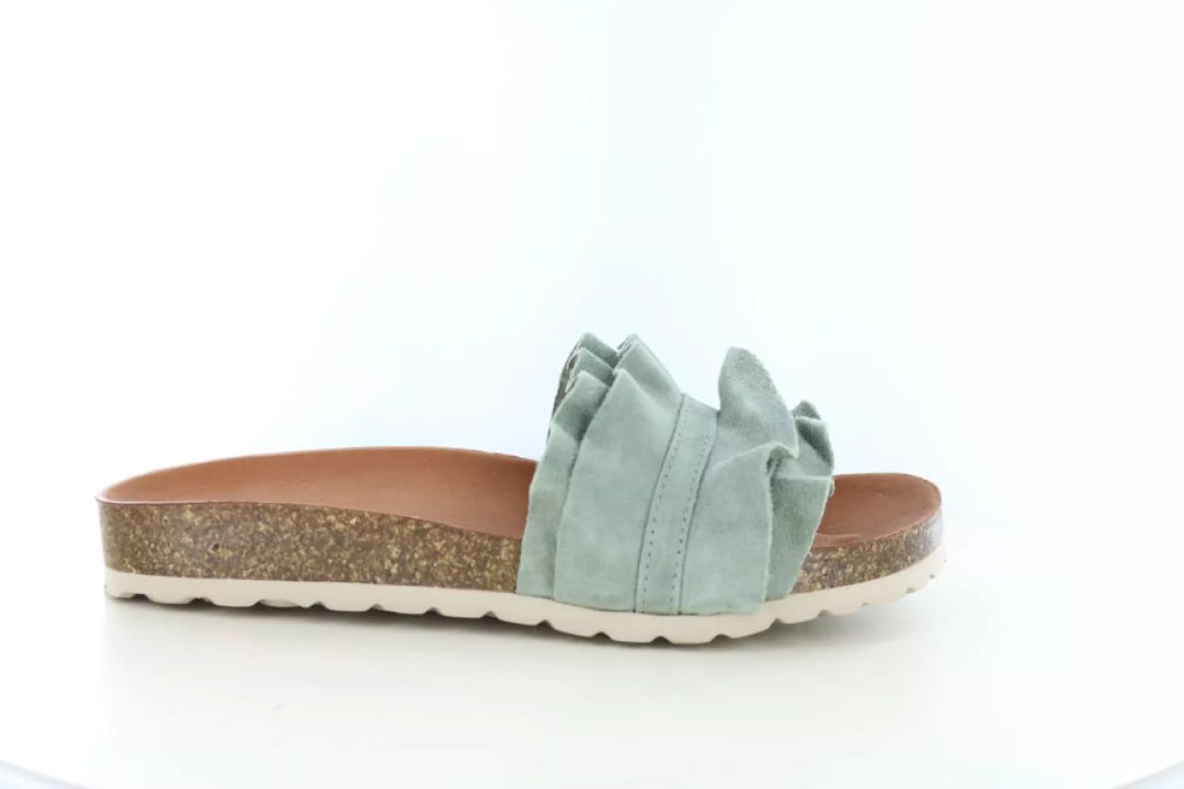 Verbenas Verbenas Rocio