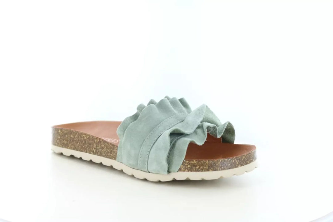 Verbenas Verbenas Rocio