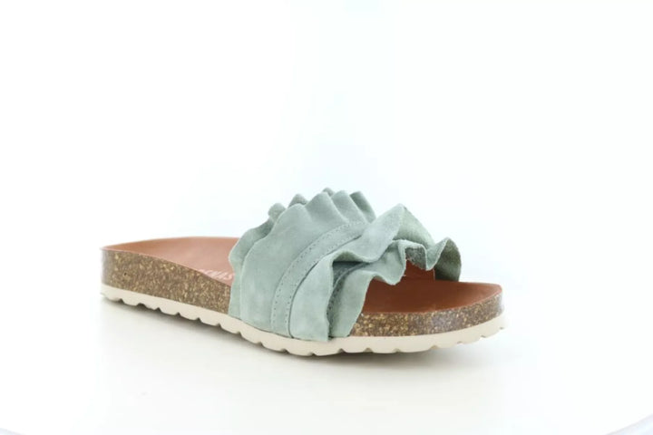 Verbenas Verbenas Rocio