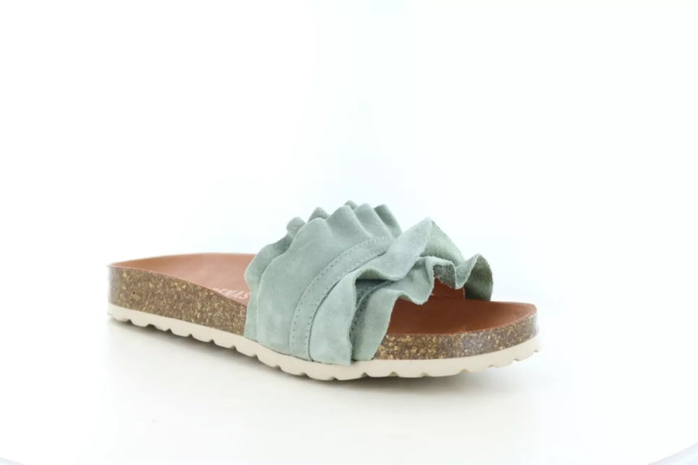 Verbenas Verbenas Rocio