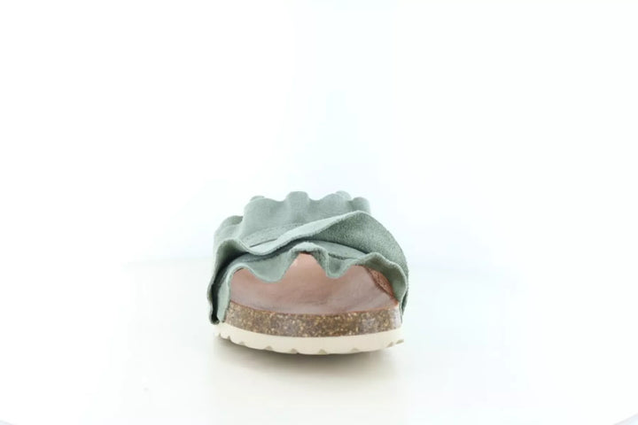 Verbenas Verbenas Rocio