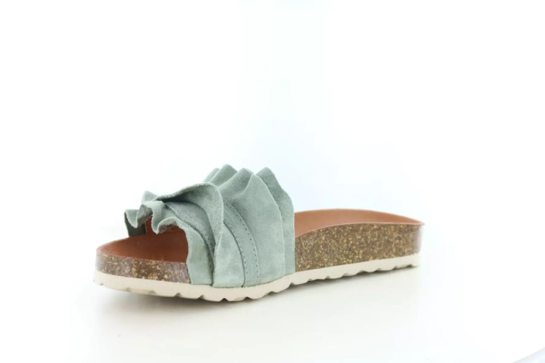 Verbenas Verbenas Rocio