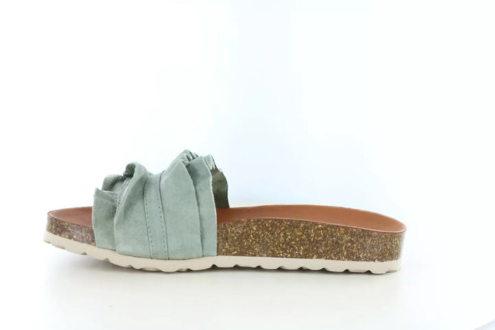 Verbenas Verbenas Rocio