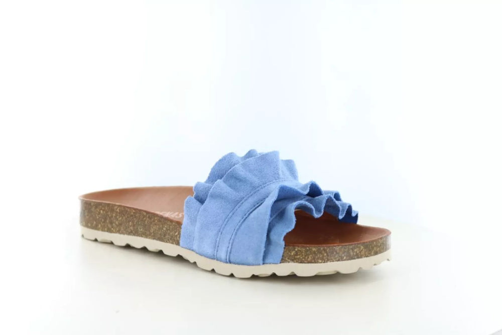 Verbenas Verbenas Rocio