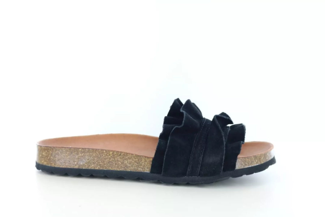 Verbenas Verbenas Rocio