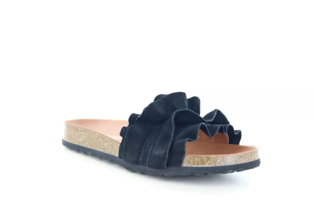 Verbenas Verbenas Rocio