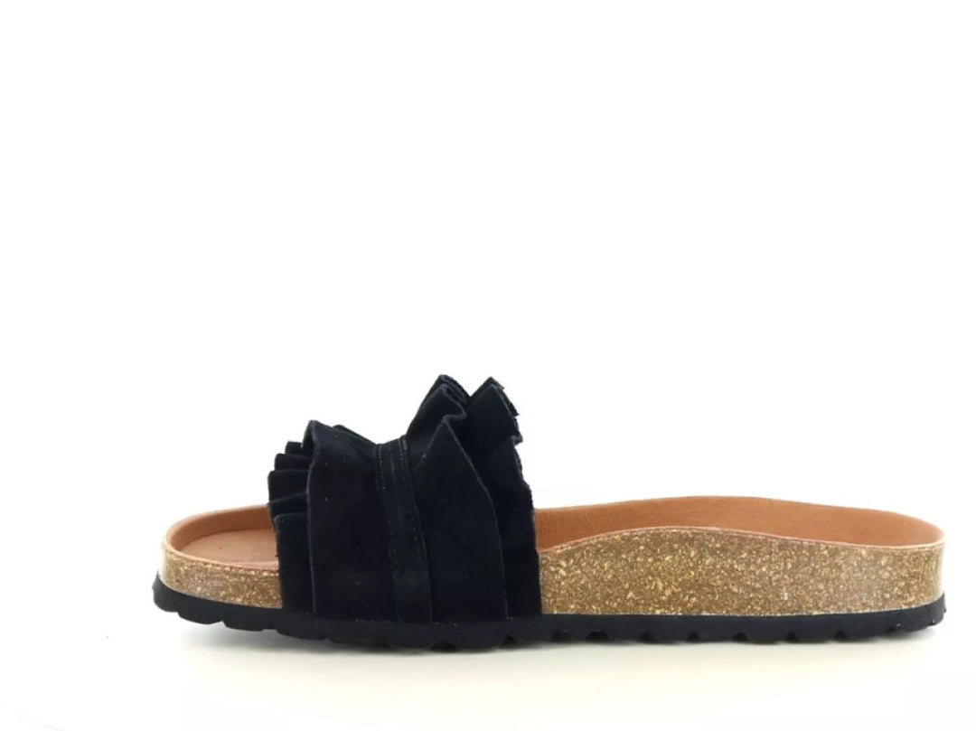 Verbenas Verbenas Rocio