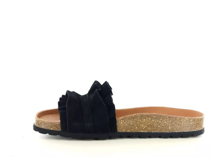 Verbenas Verbenas Rocio