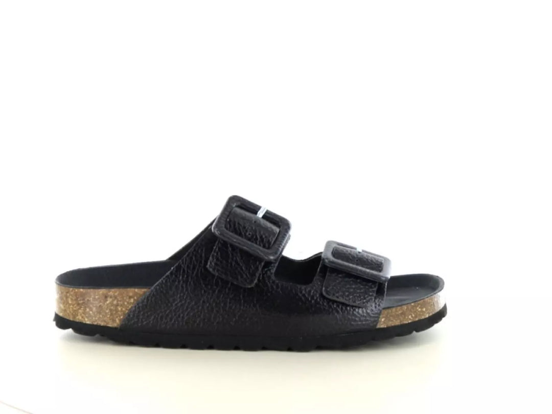 Verbenas Verbenas Randell