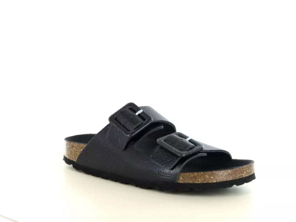 Verbenas Verbenas Randell