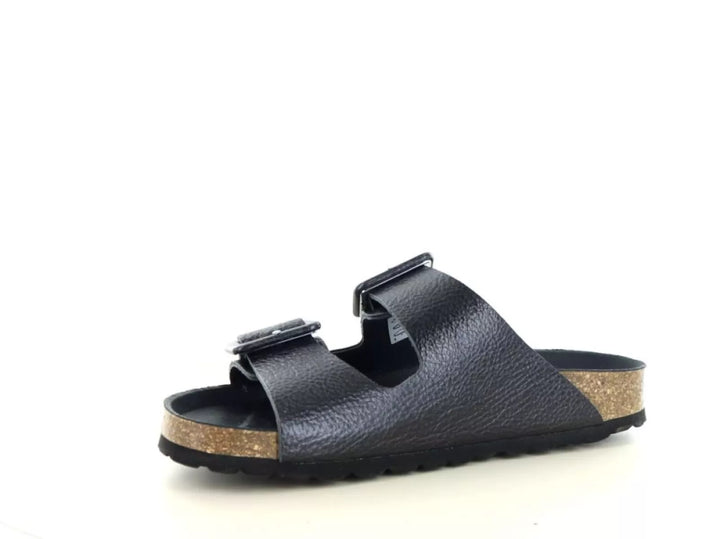 Verbenas Verbenas Randell