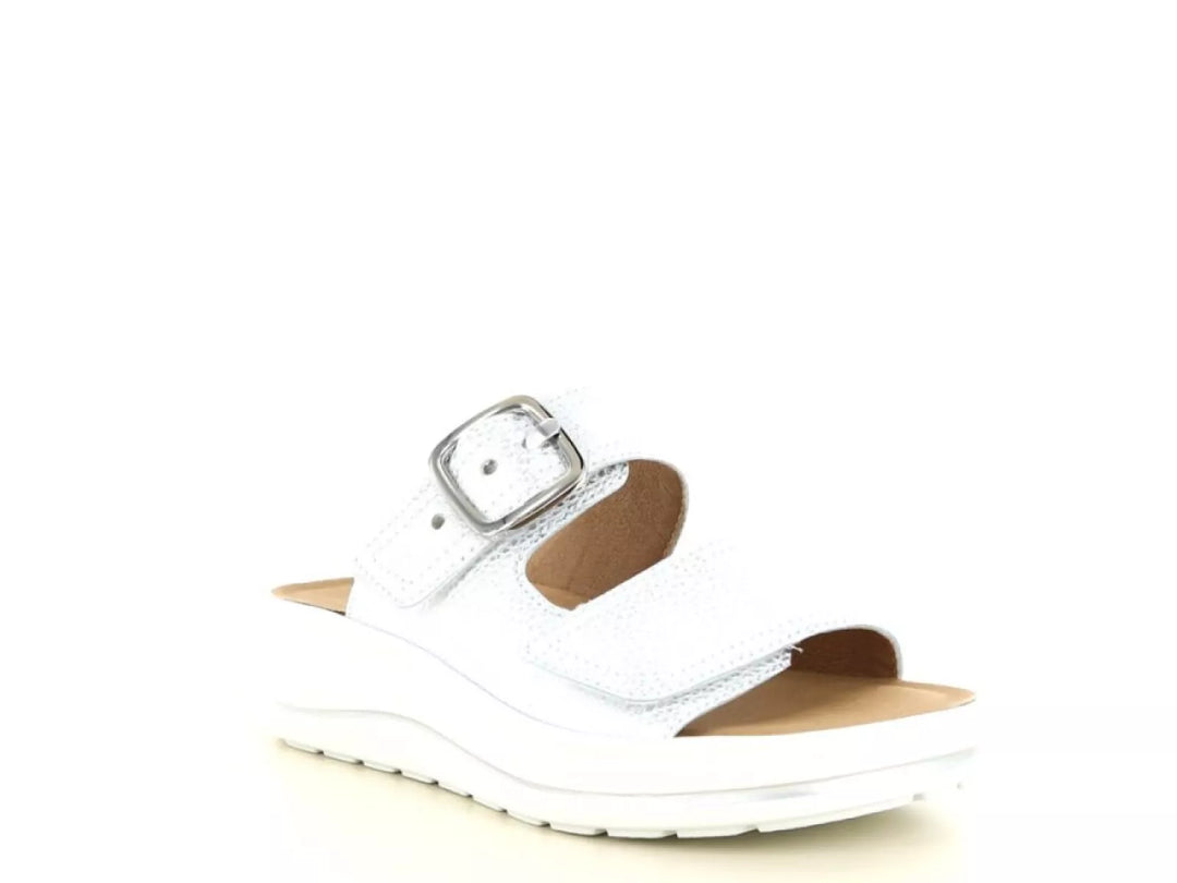 Hartjes Hartjes 122.2003 wijdte H