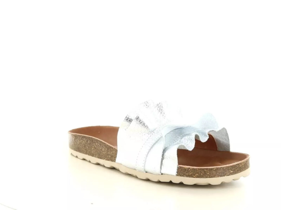 Verbenas Verbenas Rocio