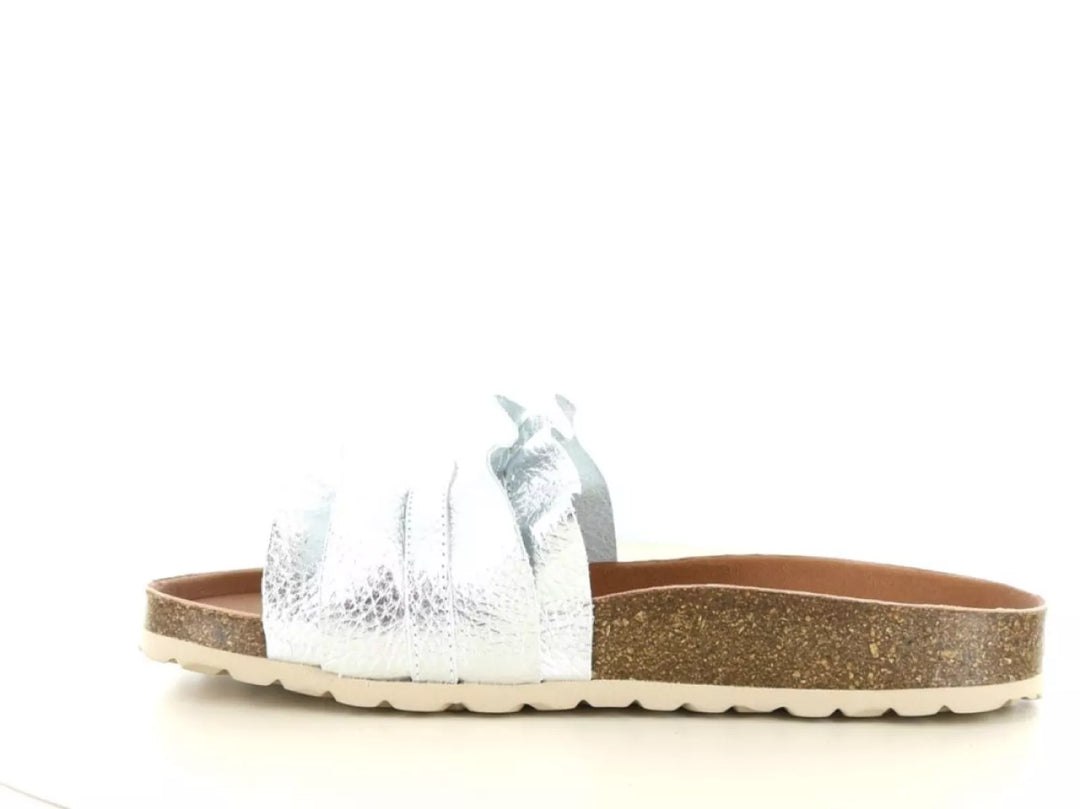 Verbenas Verbenas Rocio